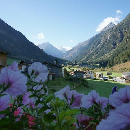 Apartment Voellenklee Neustift im Stubaital Eksteriør bilde