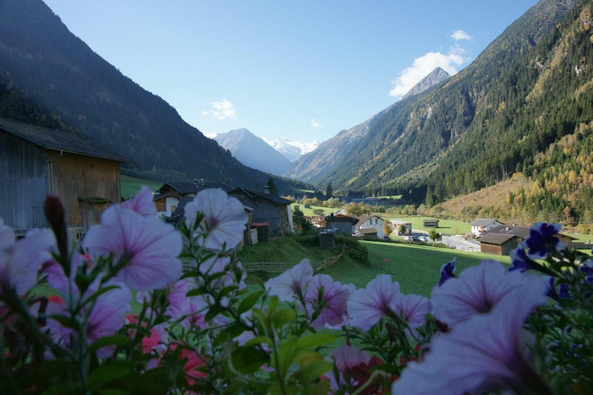 Apartment Voellenklee Neustift im Stubaital Eksteriør bilde